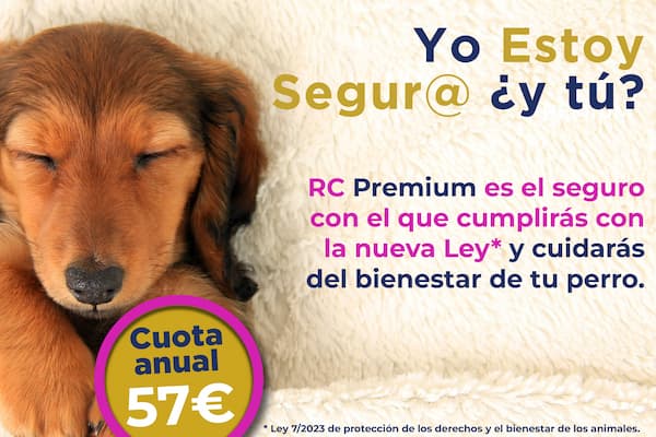 Seguro para Mascotas